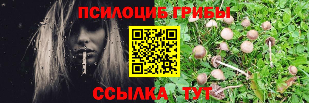 Архангельск  Галлюциногенные грибы мухоморы  Псилоцибиновые грибы прущие грибы  Вход с VPN 
